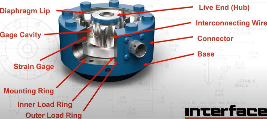 ���^���[�h�Z���\��